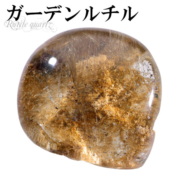 商品番号 gcr-p563 のアクセサリー