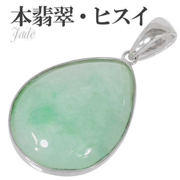 商品番号 hs-t79 のアクセサリー