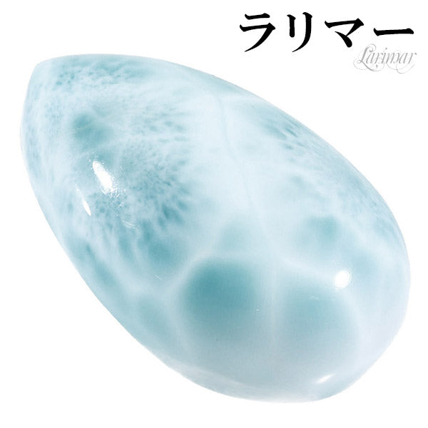 商品番号 la-c505 のアクセサリー