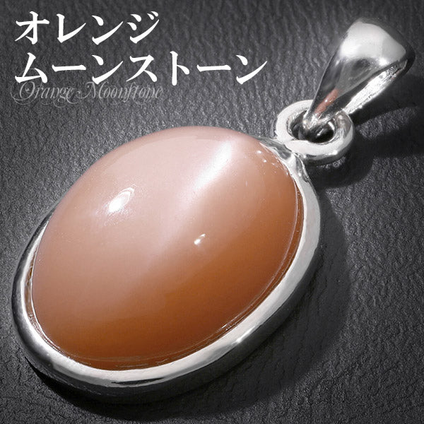 商品番号 oms-t100 のアクセサリー