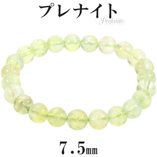 商品番号 pn-b06 のアクセサリー
