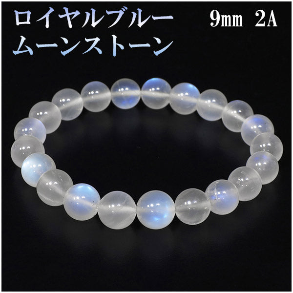商品番号 rm-b244 のアクセサリー