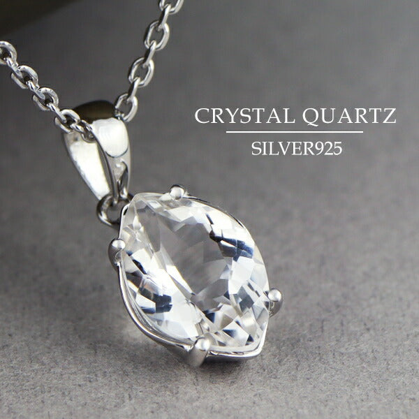 商品番号 sc-t239 のアクセサリー