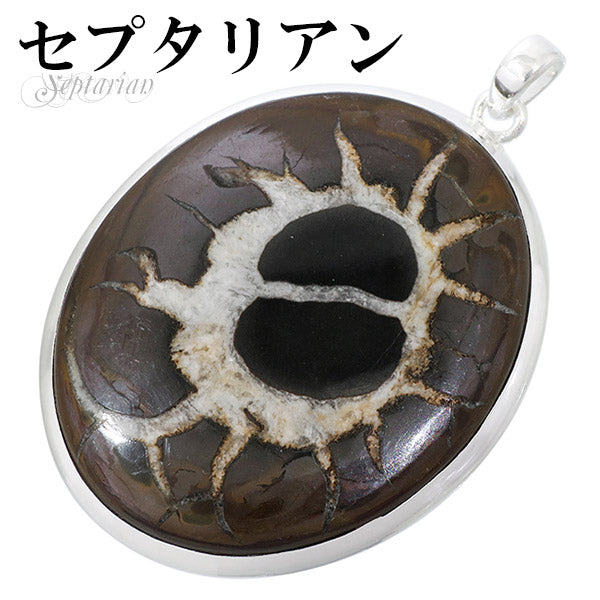 商品番号 sep-t103 のアクセサリー