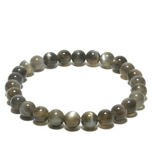 商品番号 ssb-b02 のアクセサリー