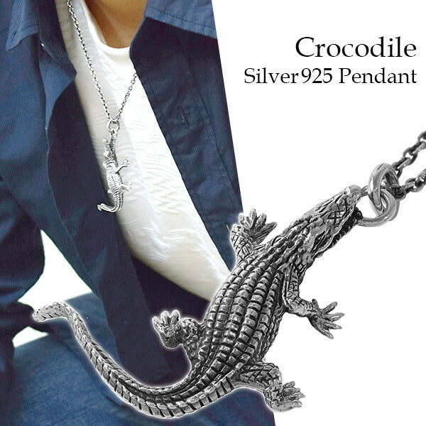 商品番号 tgr-t02 のアクセサリー