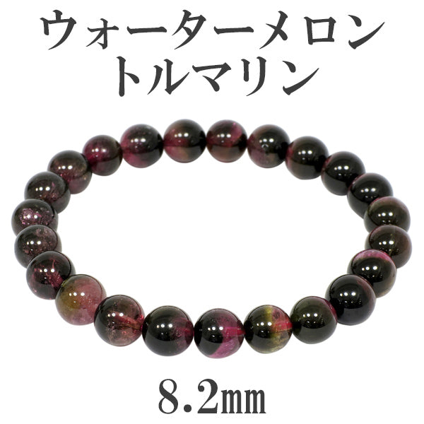 商品番号 tor-b242 のアクセサリー
