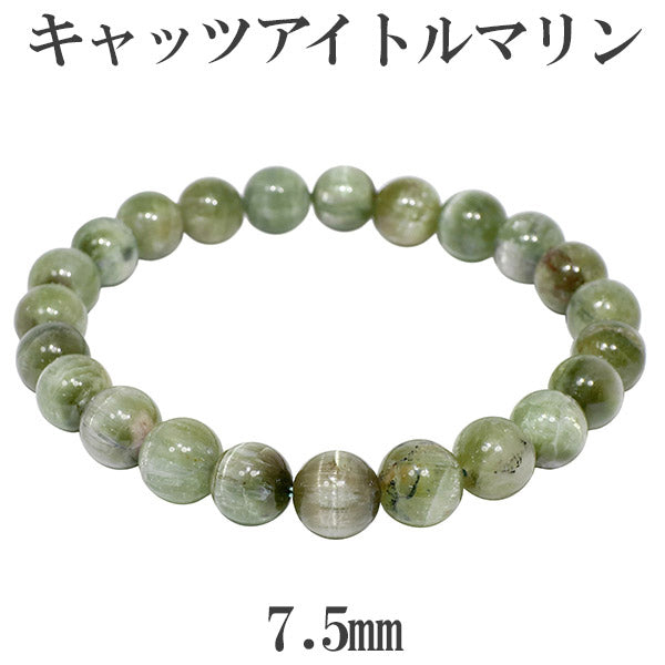 商品番号 trc-b29 のアクセサリー