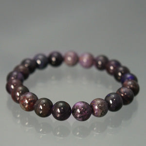 商品番号 sr-301 のアクセサリー