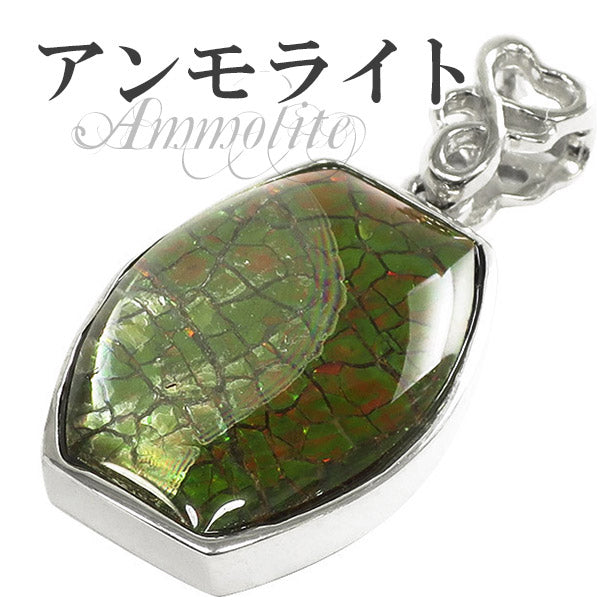 商品番号 amm-t25 のアクセサリー