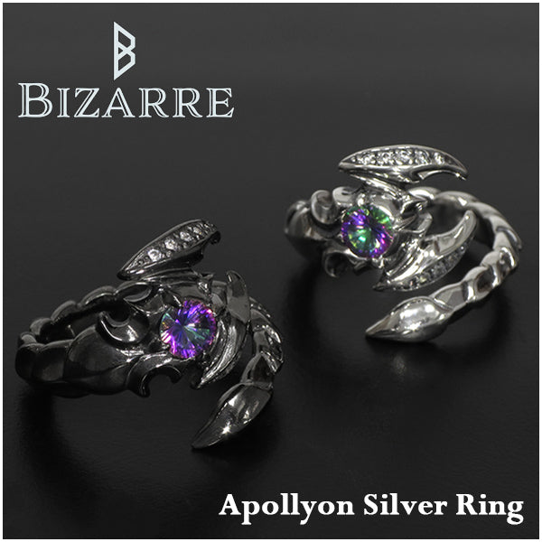 Bizarreビザール 925silverフェザーアラベスク リング約20号