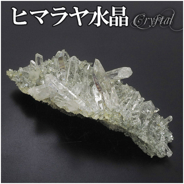 商品番号 cr-581 のアクセサリー