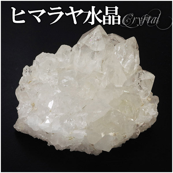 商品番号 cr-614 のアクセサリー