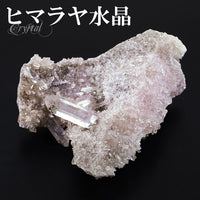 商品番号 cr-745 のアクセサリー