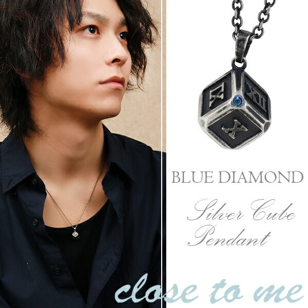 商品番号 ctm-sn13-213 のアクセサリー