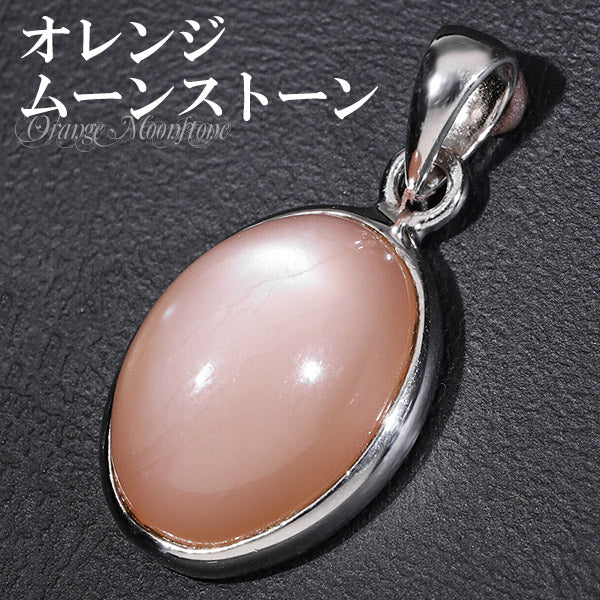 商品番号 fn-toms01 のアクセサリー