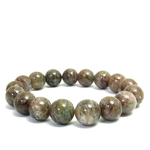 商品番号 gc-b520 のアクセサリー