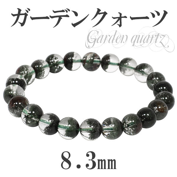 商品番号 gc-b566 のアクセサリー