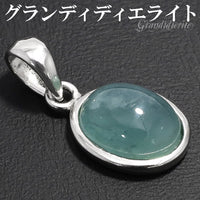 商品番号 grd-t100 のアクセサリー
