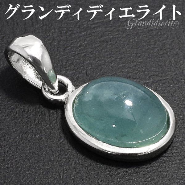商品番号 grd-t100 のアクセサリー