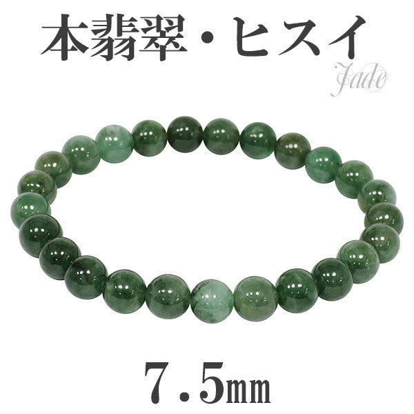 商品番号 hs-b217 のアクセサリー