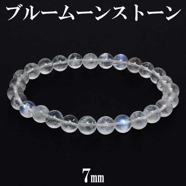商品番号 ms-b137 のアクセサリー