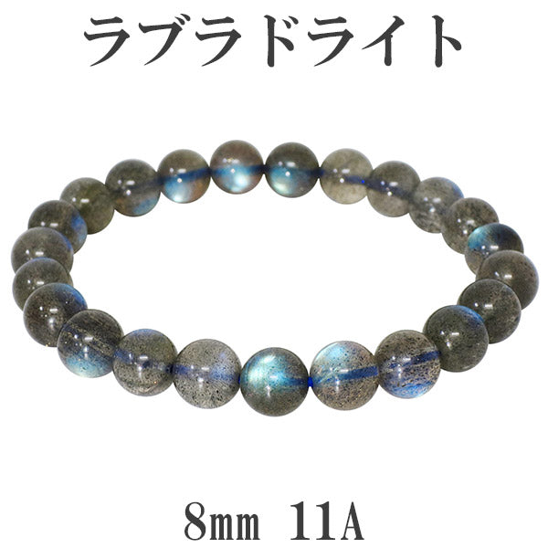 商品番号 rb-b061 のアクセサリー