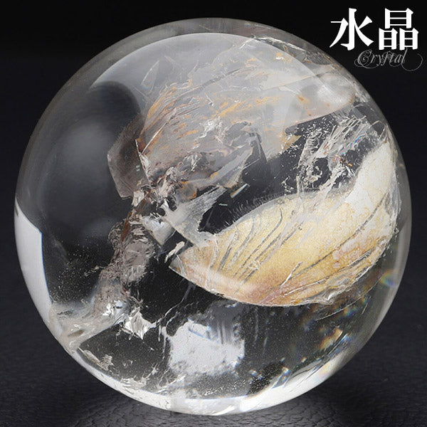 商品番号 sc-m55 のアクセサリー