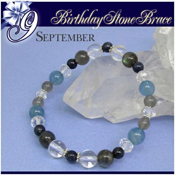 商品番号 sp-b03-9 のアクセサリー