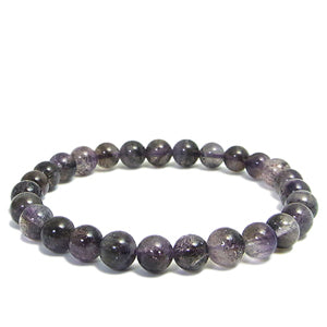 商品番号 sps-b49 のアクセサリー