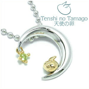 商品番号 tnt-1158rm-pe のアクセサリー