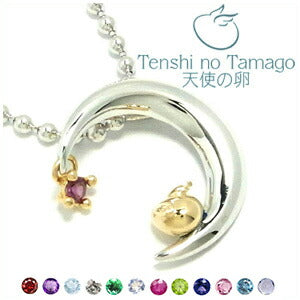 商品番号 tnt-1158rm-rg のアクセサリー