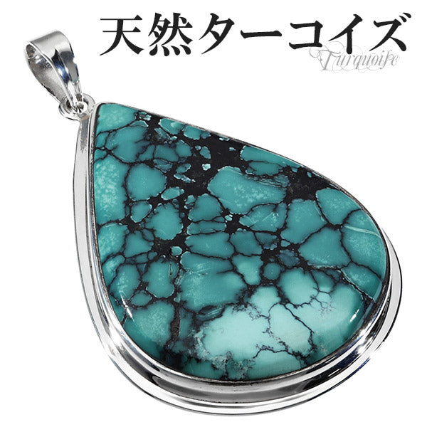 商品番号 tq-t51 のアクセサリー